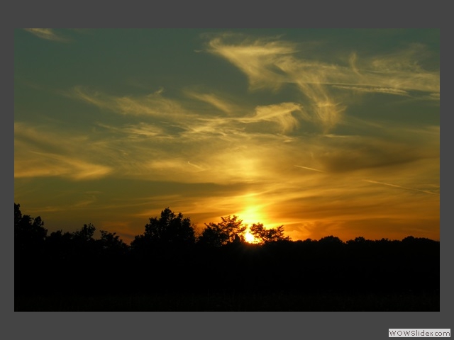 Ciel sous-marin