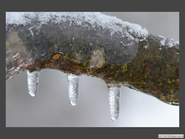 Les trois glaces