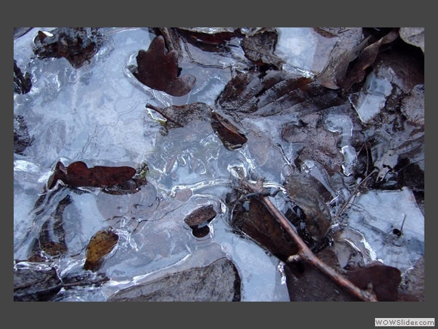 Marron glacé