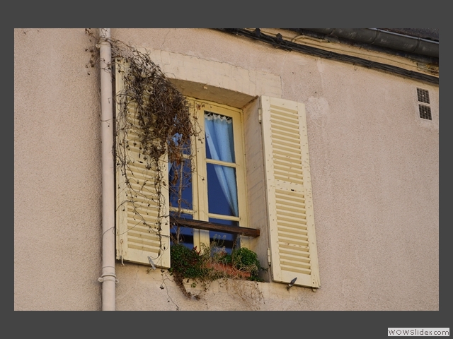 Accrochée à la gouttière I