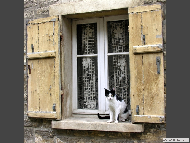 La fenêtre au chat